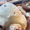 리얼커피 - 성남시 분당구 중앙공원로31번길 42 | 리얼커피
