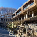 숲속아이 2 | 디지털디톡스를 원하신다면?홍천 힐리언스 선마을 숲속동 1박 2일 후기
