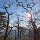 더온한의원 | 산행 후기