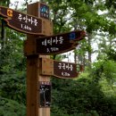 축령산 이미지