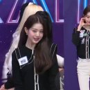 바비리본 이미지