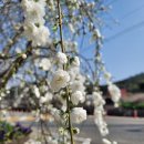 도화 민박 이미지