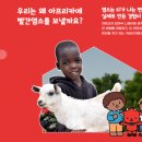 아프리카헤어