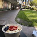 엔젤스펫(Angels pet) | 220418-21 유니버설 엽떡 등등 LA 여행기 2부