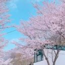 밀양풀빌라펜션 이미지