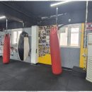 대한복싱체육관 이미지