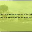 덕암로 이미지