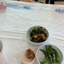 맷돌가든 | 옥천 현지인 콩국수 맛집 전원가든 내돈내산 글쎄