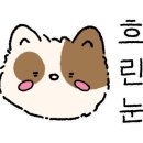 카페까망 이미지