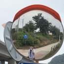 더삭스케이 네이버블로그