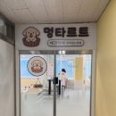 멍패밀리 인천애견유치원 애견호텔 | 구월동 애견카페 멍타르트｜넓은 실내에서 강아지랑 놀기 좋은 곳