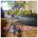 산내들흑염소 이미지