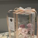 [심케이크 앤 플레르] 분당 정자역 생화케이크, 레터링을 곁들인…🎂🌸