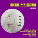 결아뷰티
