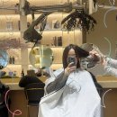 목동서로~목동동로 | 목동미용실 디얼스 목동41타워점 긴머리 레이어드컷 후기 (feat. 엘 대표원장님)