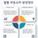 리젤펠리스 이미지