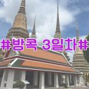 방콕 왓포사원, 촘아룬 메뉴, 아이콘 시암, 차오프라야 프린세스 디너 크루즈 솔직 후기