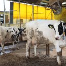 우일목장 이미지