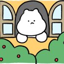레이지오터 이미지