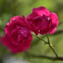 화암농장 이미지