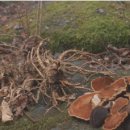 해숙농장 이미지