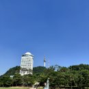 6282 | 쇼츠 사이즈 M 블루 버드 파랑 IN6282 착샷 키 몸무게 구매 후기 핀터레스트 반바지 코디 내돈내산
