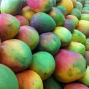 초록망고 이미지