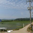 달산농장 Daum카페