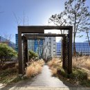 숲을향한시선 이미지