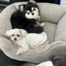 평화의샘유치원 이미지