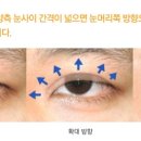 김진성형외과