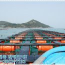 완도참전복집 이미지