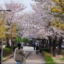 경춘선숲길(도깨비시장 앞) 이미지