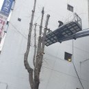 태진자원 이미지