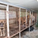 대선농장 이미지