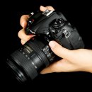 dslr 고급기4- 니콘 D300 <중급기와 고급기의 기로~> 이미지