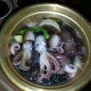 바다사냥 이미지