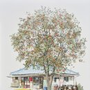 그린슈퍼마켓 이미지