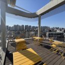 켈리 독, 강남 애견호텔 애견유치원 이미지