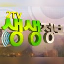 여주-0078 티스토리