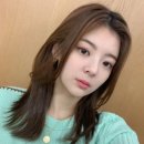 디자인애