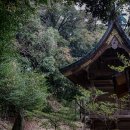 오덕1 | [2025 일본 규슈] #00. 귀칼, 진격거 오덕 순례 3박 4일 규슈 여행 간단 후기