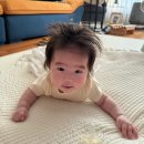 도도스피드 효천DT점 | 맘마일기_5. 4개월, 첫 여행