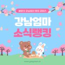 영도단과학원 | 🏅 서울 양천구 학원소식 Top 100