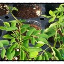 신가네농장 이미지