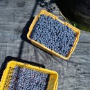 남평농장 이미지