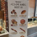 빵과당신 이미지