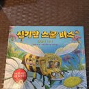 " 신기한 스쿨 버스 꿀벌이 되다 " 이미지