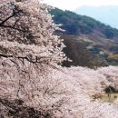 화개119지역대 이미지