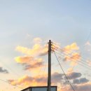 삼포화이트빌 이미지